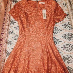 Francesca's Lace Dress